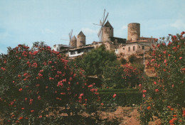 Delcampe - ESPAÑA Palma De Mallorca Islas Baleares Molinos Del Jonquet Unposted #SCE977 - Palma De Mallorca