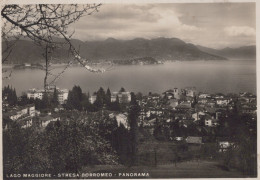 Delcampe - Italia Stresa Panorama Del Lago Maggiore E Isole Borromee Real Photo #SCE894 - Sonstige & Ohne Zuordnung