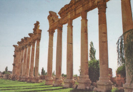 Delcampe - Lebanon Baalbek Ancient Roman Temple Ruins Colonnade Unposted #SCE868 - Libanon