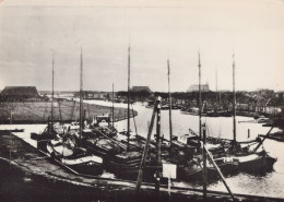 Delcampe - Nederland Stavoren Oude Haven Met Zeilschepen Real Photo Unposted #SCE840 - Stavoren