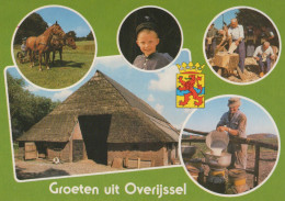 Delcampe - Nederland Hellendoorn Plattelandsleven Traditionele Boerderij #SCE813 - Hellendoorn