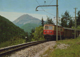 Delcampe - Österreich Mariazell Steiermark Mariazellerbahn 1099 03 Ötscher #SCE795 - Mariazell
