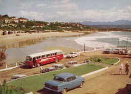 Delcampe - South Africa Plettenberg Bay S A R Motor Coach Beach Cars Unposted #SCE714 - Südafrika