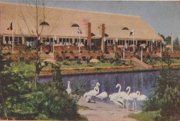 Delcampe - Nederland Alphen Aan Den Rijn Avifauna Restaurant Afgestempeld #SCE704 - Alphen A/d Rijn
