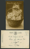 Delcampe - Twin Cats Kittens In Basket Those Terrible Twins Cat Kitten 1917 Old Postcard SB - Gatos