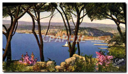 Delcampe - CPA Nice Vue Entre Les Pins - Panoramic Views