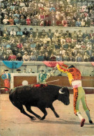 Delcampe - CPM Corridas Pose De Banderilles Corrida Taureau - Stierkampf