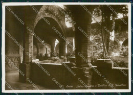 Delcampe - Perugia Assisi Cimitero FG Foto Cartolina KB4787 - Perugia