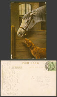 Delcampe - Horse Pony & Dog Puppy Stable 1903 Old Colour Postcard Art Artist Signed Animals - Otros & Sin Clasificación
