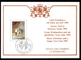 Delcampe - LUXEMBURG Yt. 1234 FDC Caritas 1991 - FDC