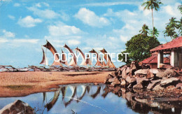 Delcampe - Outrigger Fishing Canoes Negombo - Ceylon Sri-Lanka - Sri Lanka (Ceylon)