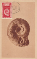 Delcampe - CPA ALGÉRIE - Tamanghasset (Constantine) - Cachet Postal Rare 1952 - Maximaphiles - Constantine