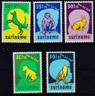 Delcampe - Child Welfare - 1977 - MNH - Surinam