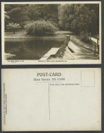 Delcampe - Australia Old Postcard Donnelly's Creek Weir Healesville Vic. Victoria Fern Tree - Autres & Non Classés