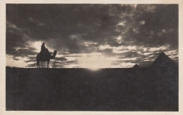 Delcampe - CPA ÉGYPTE - Gizeh : Sunset At Giza (Coucher De Soleil) - Éditeur L. Scortzis Nr. 641 - Neuf - Gizeh