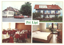 Delcampe - Cartolina SLOVENIA Gostilna Pri Lipi - Slowenien