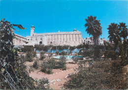 Delcampe - CPM Hebron Brahim Mosque - Israel