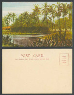 Delcampe - Burma Old Colour UB Postcard A Corner Of Royal Lakes Rangoon, Palm Trees Burmese - Myanmar (Burma)