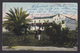 Delcampe - Vintage Postcard Palestine Jericho Hotel Bellevue Garden Palm Tree View 1912 - Palästina