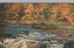 Delcampe - USA Autumn River Landscape With Rushing Waters And Fall Foliage #SCF484 - Fargo