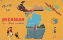Delcampe - USA Michigan State Promotional Montage Water Winter #SCF482 - Sonstige & Ohne Zuordnung