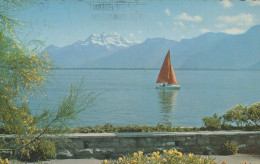 Delcampe - Suisse Lac Léman Région Lémanique Vue Dents Du MIDI Voilier Paysage #SCF424 - Lago Lemano