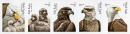 Delcampe - USA - 2026 - Bold Eagle - Hatchling To Adult - Mint Self-adhesive Stamp Set - Neufs