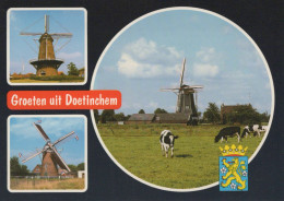 Delcampe - Nederland Doetinchem Windmolens Koeien Landelijk Unposted #SCF227 - Doetinchem