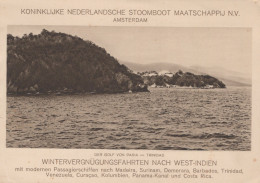 Delcampe - Trinidad And Tobago Gulf Of Paria Trinidad K N S M Cruise Ship Landscape #SCF197 - Trinidad
