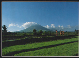 Delcampe - Philippines Legazpi Mount Mayon Volcano Landscape Unposted #SCF196 - Filippijnen
