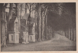 Delcampe - Nederland Valkenburg Drie Beeldjes Religieuze Monumenten Bospad Unposted #SCF187 - Valkenburg