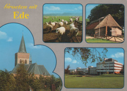 Delcampe - Nederland Ede Overzicht Kerk Boerderij Schapen Geadresseerd #SCF170 - Ede