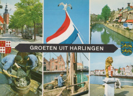 Delcampe - Nederland Harlingen Friesland Stadsgezichten Haven Visserij Grachten #SCF141 - Harlingen