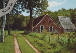 Delcampe - Nederland Holten Overijssel Saksische Boerderij Plattelands Landschap #SCF649 - Holten