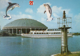 Delcampe - Nederland Harderwijk Dolfinarium Rondvaartboot En Dolfijnen Verzonden #SCF640 - Harderwijk
