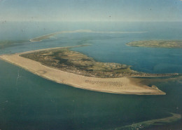Delcampe - Deutschland Amrum Nordseeinsel Luftaufnahme Gestempelt #SCF602 - Föhr