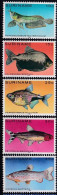 Delcampe - Tropical Fishes - 1980 - MNH - Surinam