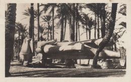 Delcampe - CPA ÉGYPTE - Statuette De Memphis Au Sahara - Dos écrit 1933 - Zogolopoulo Frères Cairo - Caïro