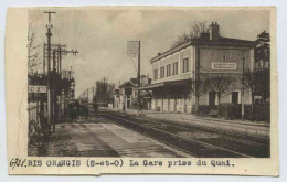 Delcampe - Ris Orangis, La Gare Prise Du Quai - Ris Orangis