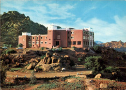 Delcampe - N°43614 Z -cpsm Hôtel Du Sud à Tafraout - Andere & Zonder Classificatie