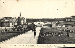 Delcampe - CPA Chateau De Chantilly Vue Prise Du Carrefour Des Lions Chasse A Cour Chiens Cheval - Chantilly