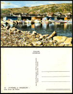 Delcampe - St-Pierre Et Miquelon A Fishing Cove Boats Une Anse De Peche Old Colour Postcard - Ohne Zuordnung