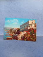 Delcampe - Sorrento-hotels Tramontano E Sirena-fg-1961 - Hotels & Gaststätten
