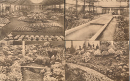 Delcampe - GENT   GENTSCHE FLORALËN 1938   10 KAARTEN - Gent