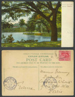 Delcampe - Ceylon KE7 6c To Paris 1907 Old Colour Postcard The Lake Kandy Palm Trees No. 9 - Sri Lanka (Ceylon)