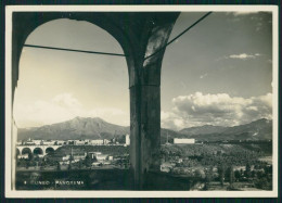 Delcampe - Cuneo Città Foto FG Cartolina MZ0715 - Cuneo