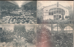 Delcampe - GENT   FLORALIES 1908  4 KAARTEN - Gent