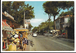Delcampe - Marina Di Massa, Viale Delle Pinete. Camping (GF7794) - Massa