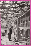 Delcampe - 325205 / Bulgaria SOPOT Convent “Introduction Of The Virgin Mary” - NUN Building Tree PC Publ. "Photoizdat" A-3 / 8St - Chiese E Cattedrali