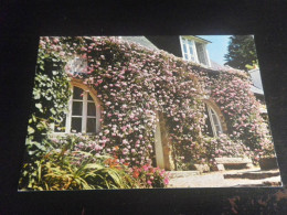 Delcampe - COTE D'ARMOR - ILE DE BREHAT - Maison Fleurie - 52 - Ile De Bréhat